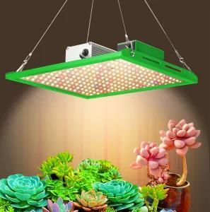 Lm301h 660nm Full Spectrum LED Grow Light 3000K 3500K LED Grow Light for Garden Tent