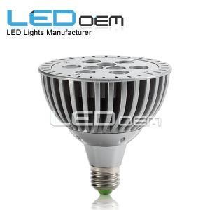 CE, RoHS Certificate PAR30 LED Spotlight