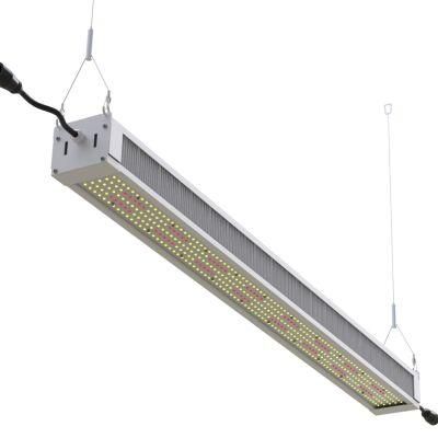 Full Spectrum 600W 630W LED Grow Light for High Bay Green House Plants